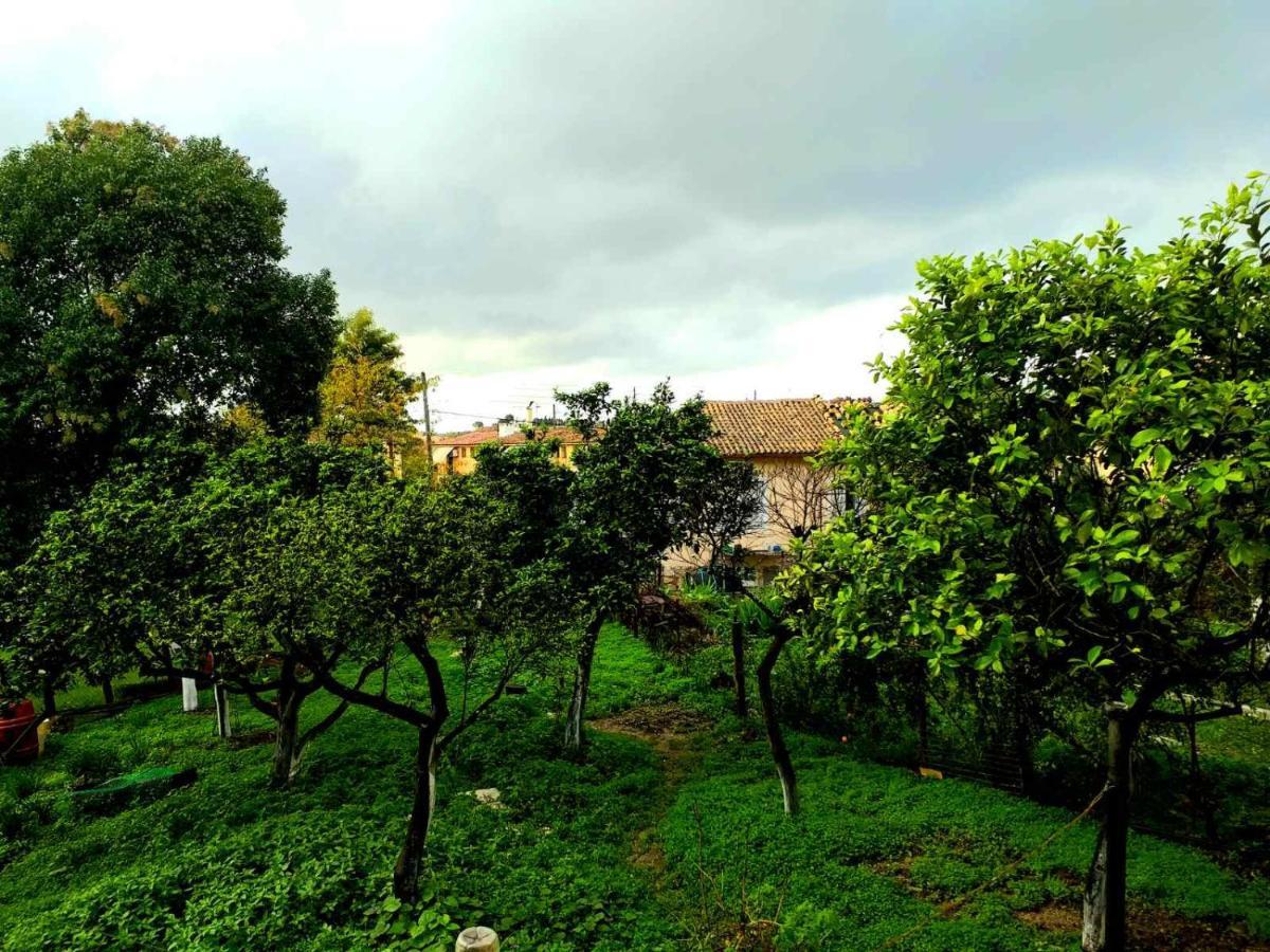 Appartement Rosa Garden House